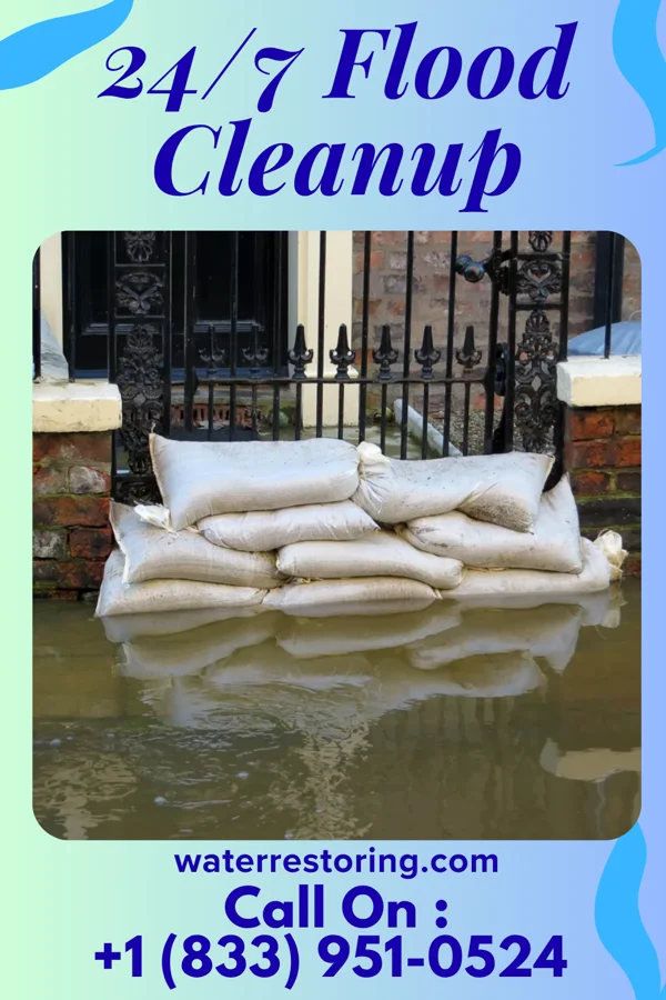 24/7 Flood Cleanup in Alta, IA