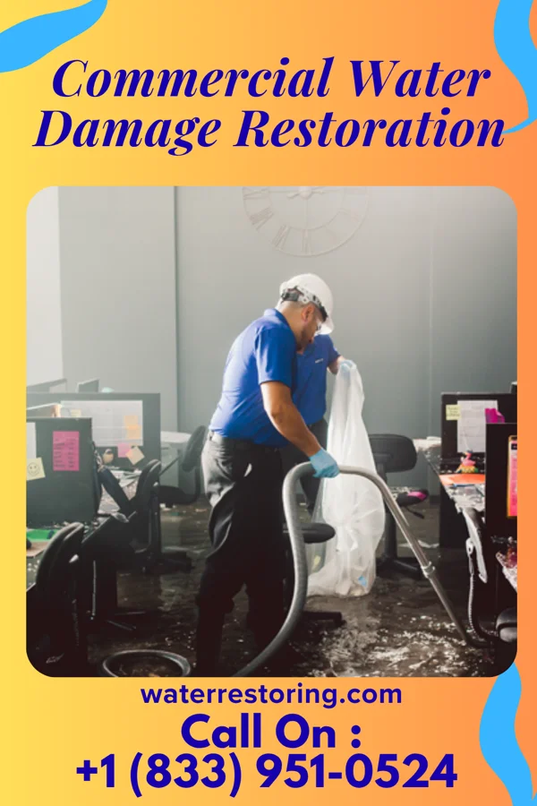 Commercial Water Damage Restoration in Alta, IA